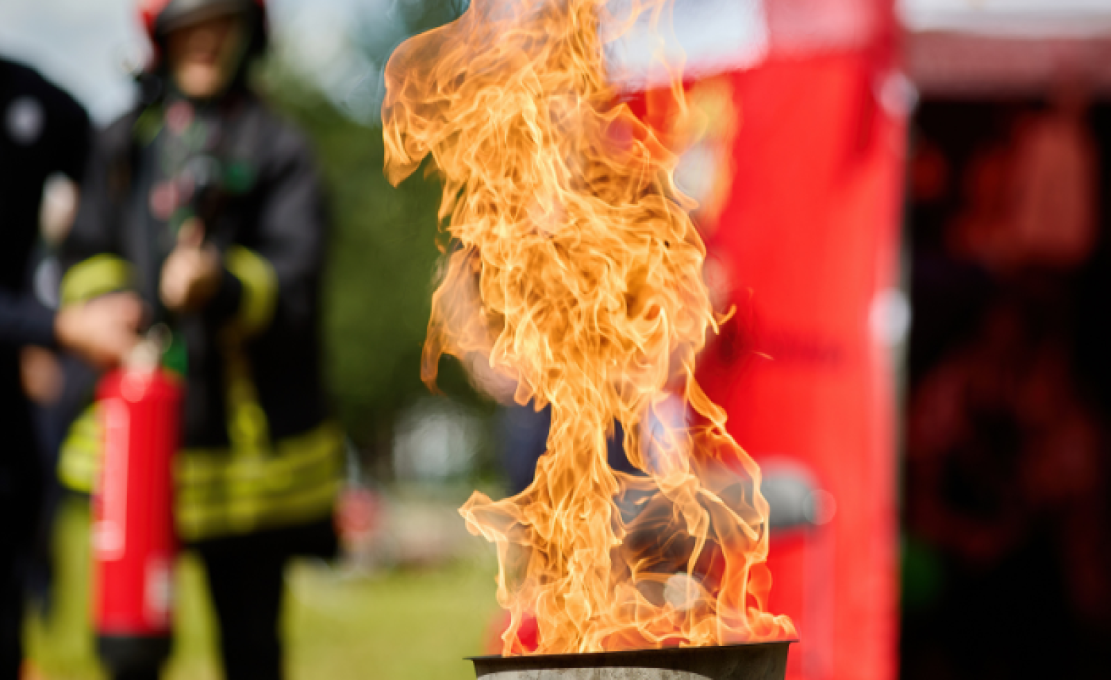 Image de la formation