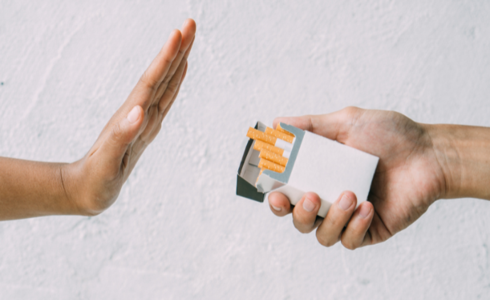 Image de la formation